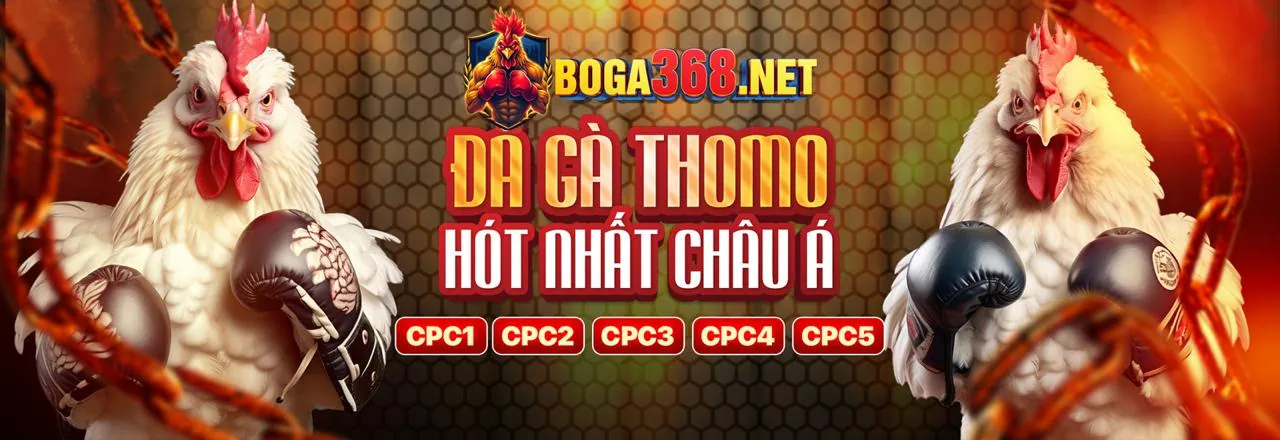 Nền tảng đá gà pkwin nhà cái an toàn và đáng tin cậy